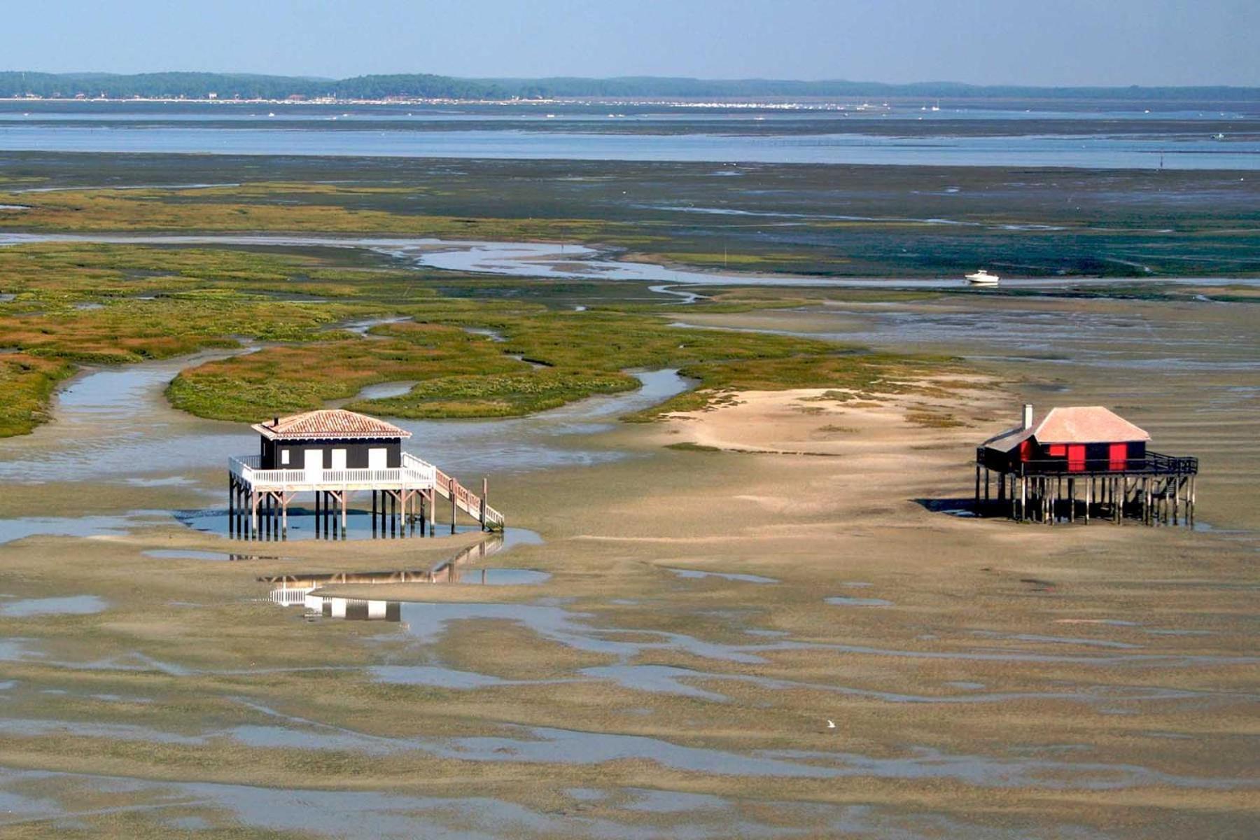 Un Toit Sur Le Bassin Claouey Otel Lège-Cap-Ferret Dış mekan fotoğraf